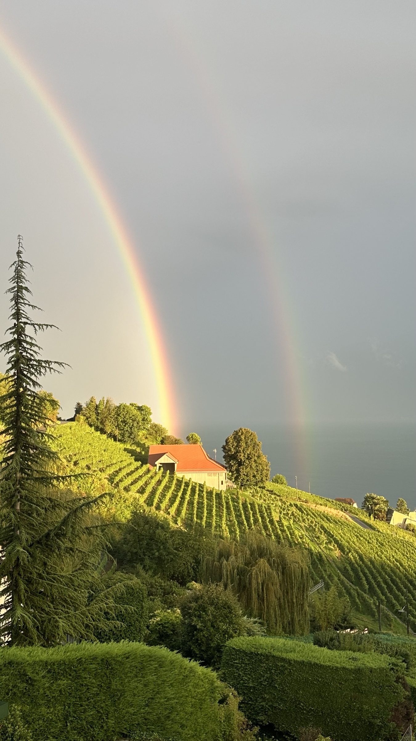 Villa et colocation du Lavaux à Grandvaux, photo 5
