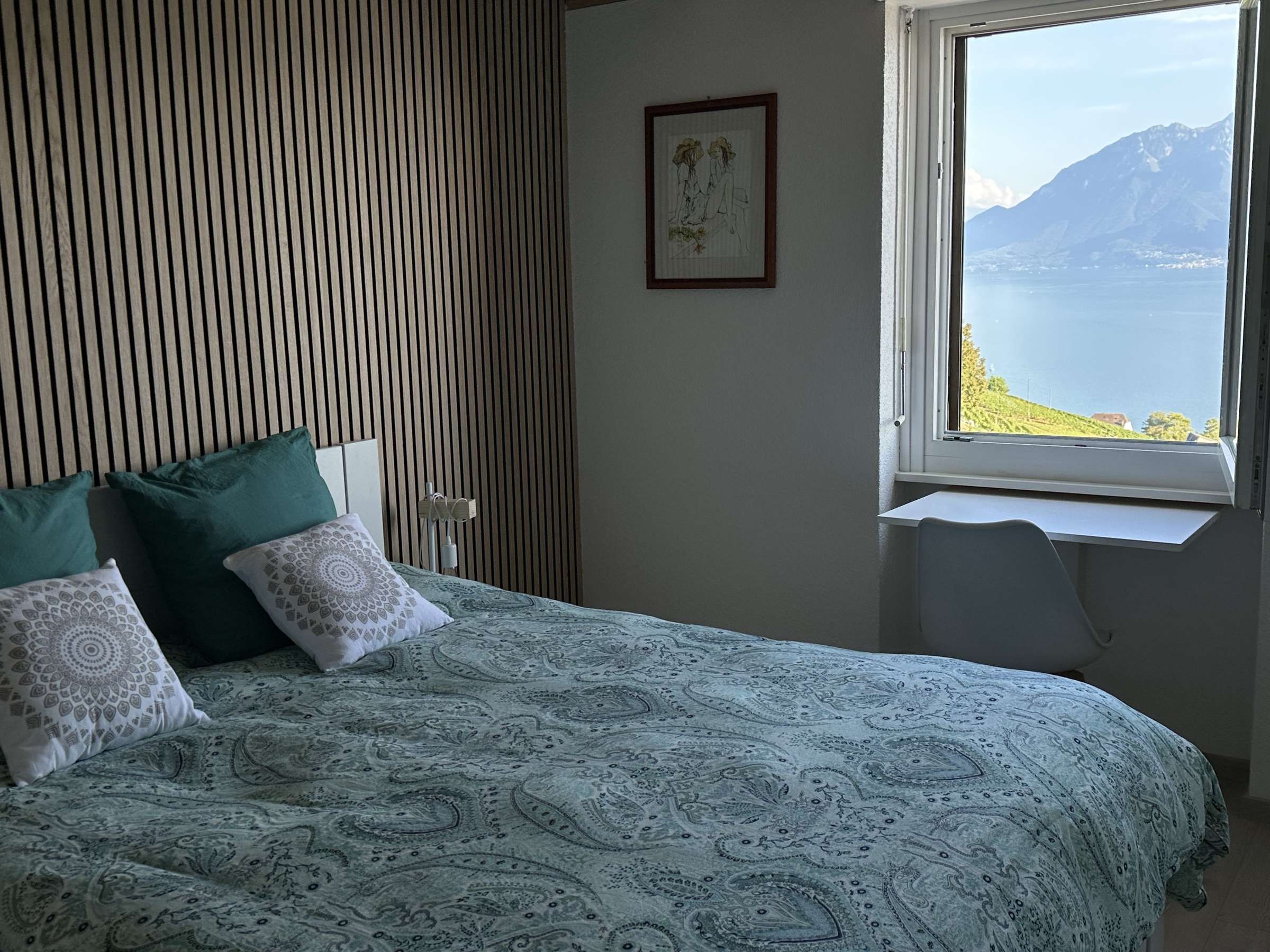 Villa et colocation du Lavaux à Grandvaux, photo 7