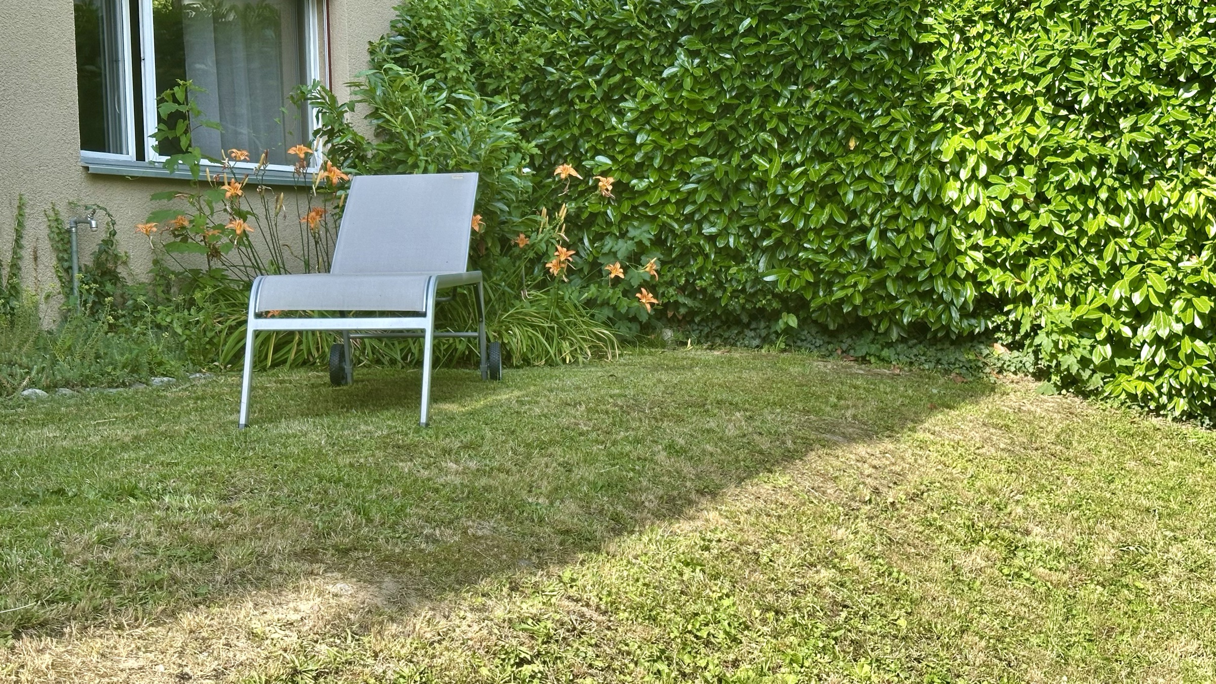 Jardin de la colocation de Lausanne