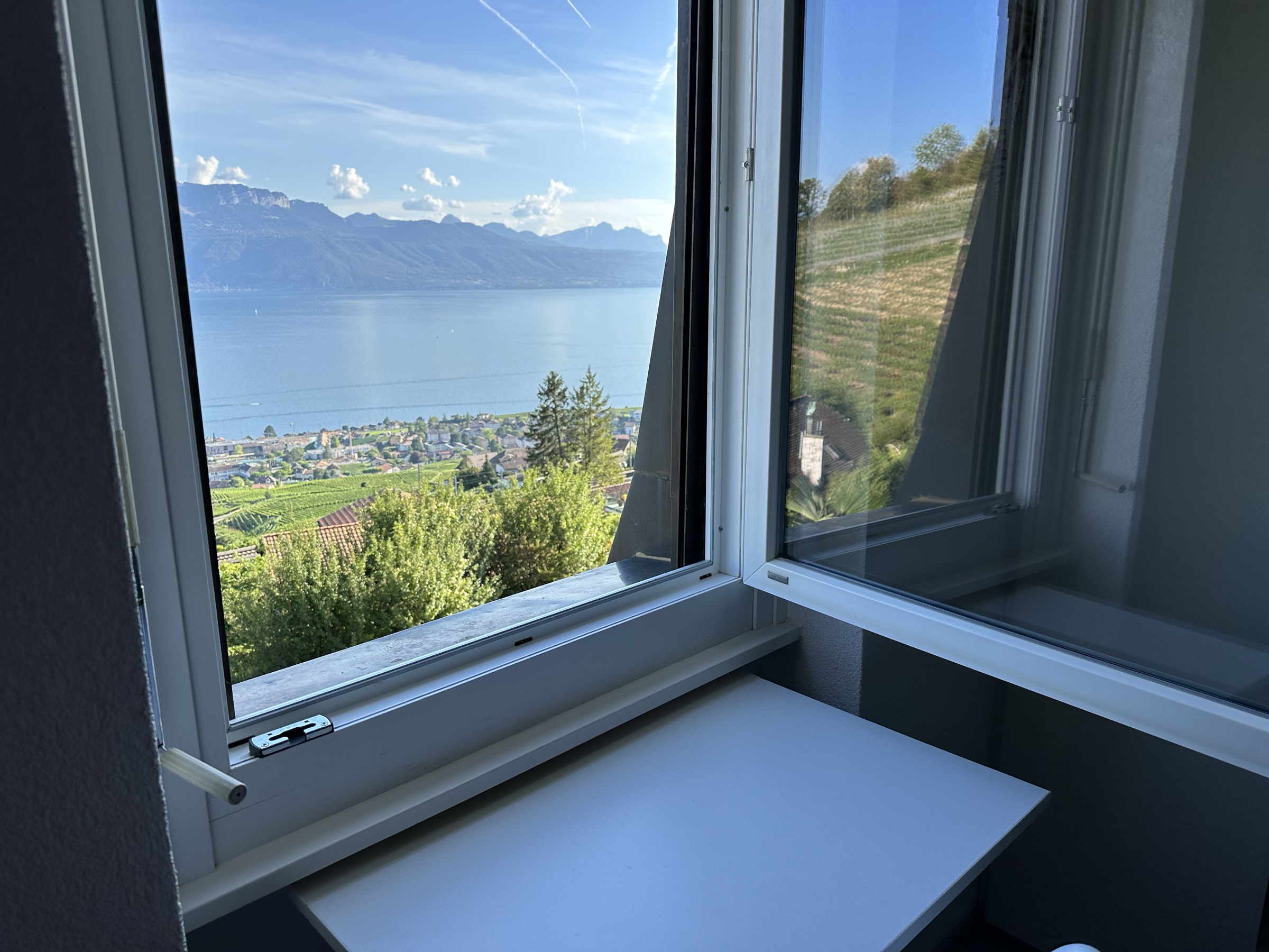 Villa et colocation du Lavaux à Grandvaux, photo 8